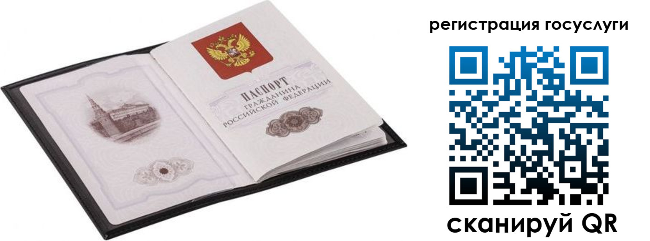 временная регистрация поиск в Красноярском крае